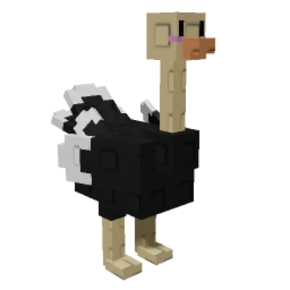 ostrich